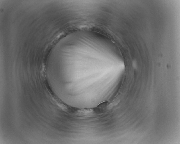 X0000074010480200609111628