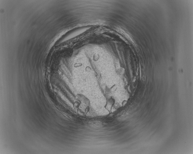 X0000074010483200609111627