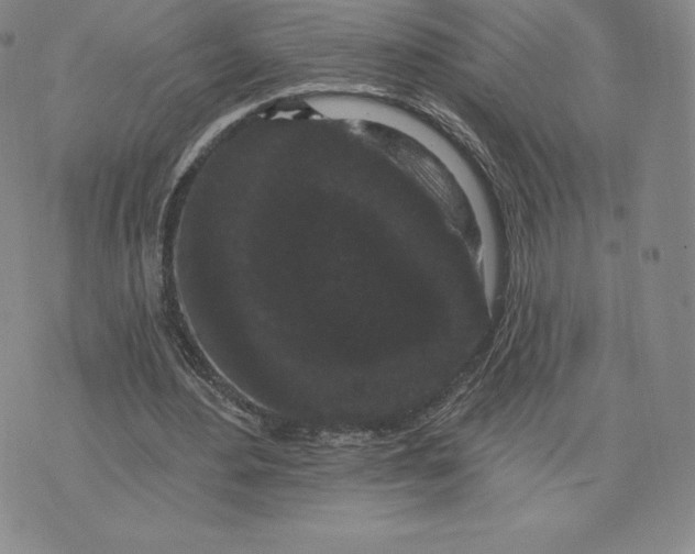 X0000074010484200609111627