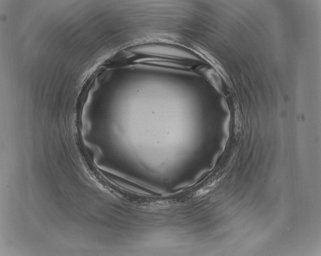 X0000074010485200609111627