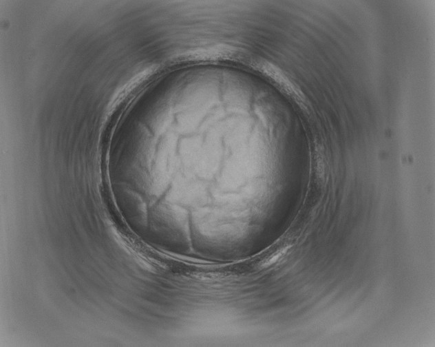 X0000074010486200609111627