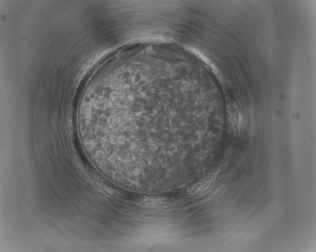 X0000074010487200609111627