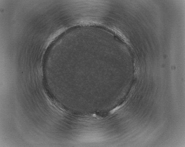 X0000074010488200609111627