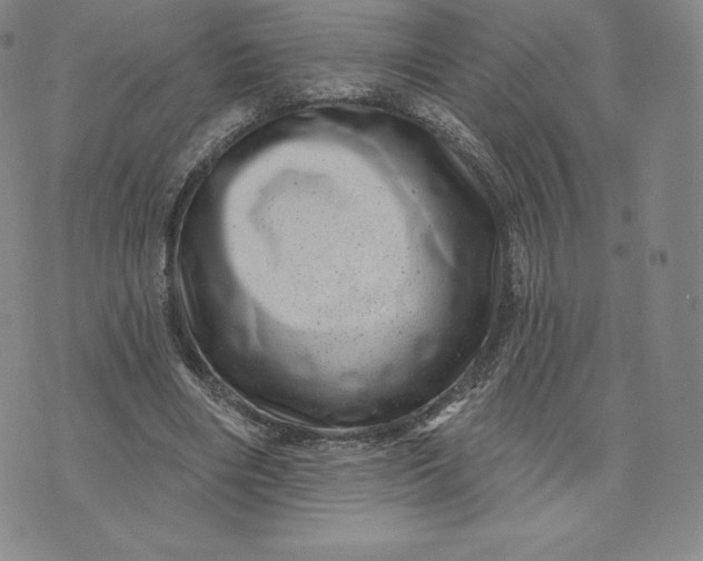 X0000074010490200609111627