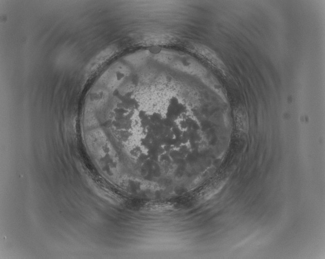 X0000074010491200609111627