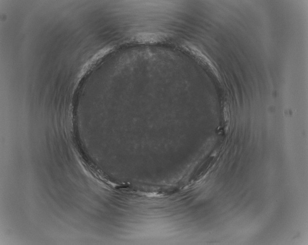 X0000074010492200609111627