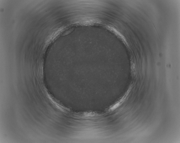 X0000074010493200609111627