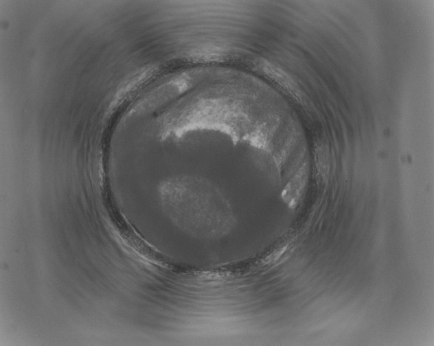 X0000074010494200609111627