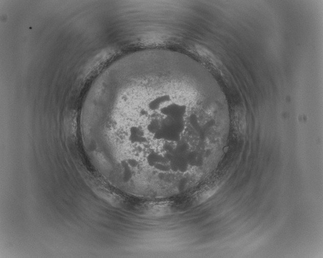 X0000074010495200609111627