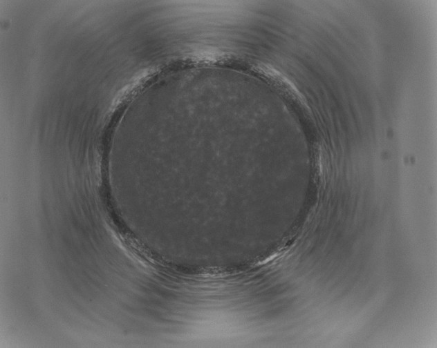 X0000074010496200609111627