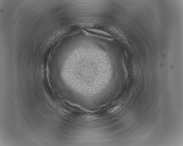 X0000074010498200609111627