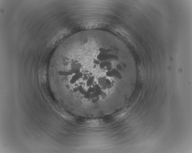 X0000074010499200609111627