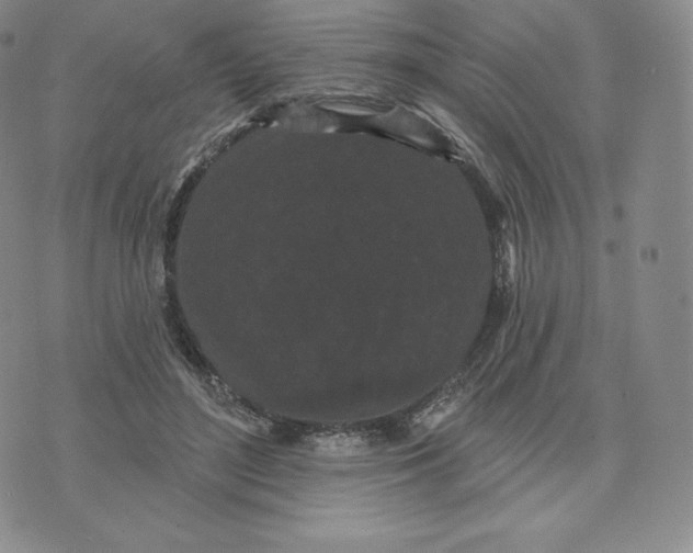 X0000074010500200609111627