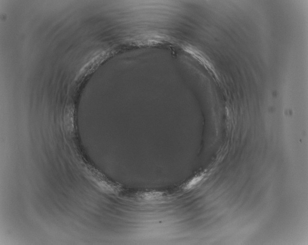 X0000074010501200609111627