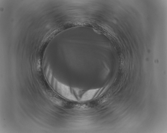 X0000074010502200609111627