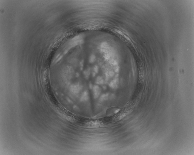 X0000074010503200609111627