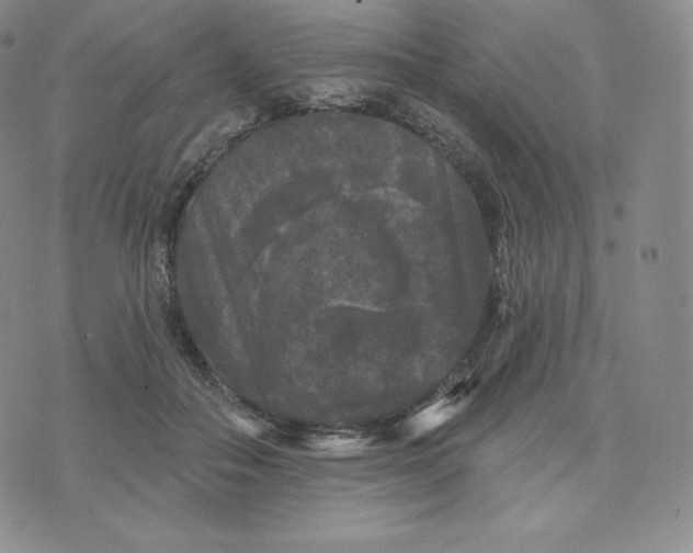 X0000074010506200609111627