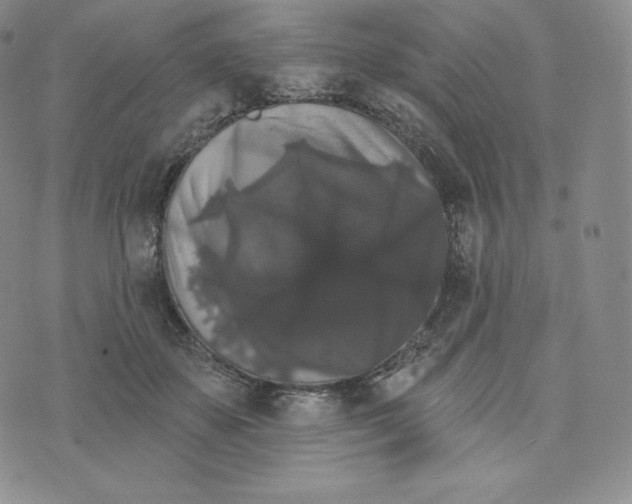 X0000074010507200609111627