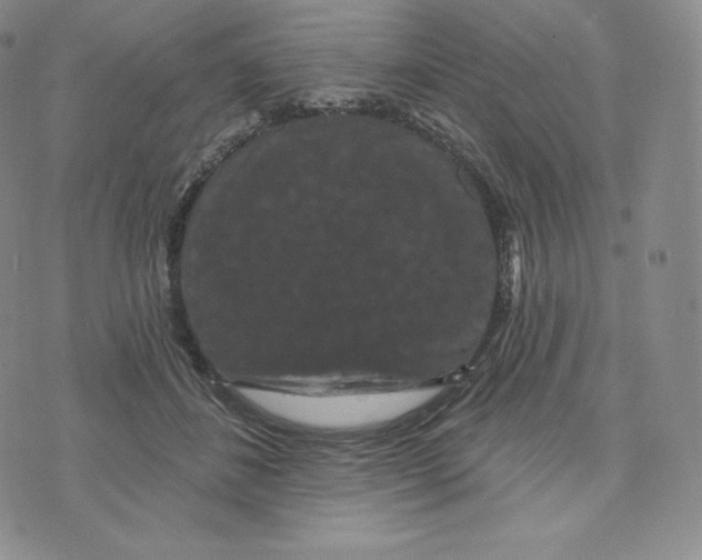 X0000074010508200609111627