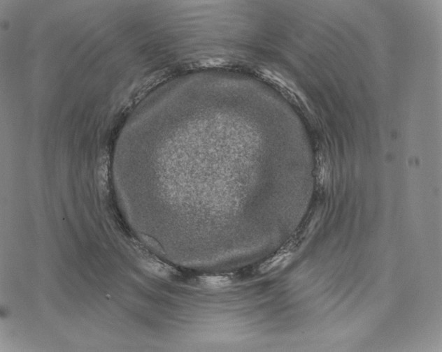 X0000074010509200609111627