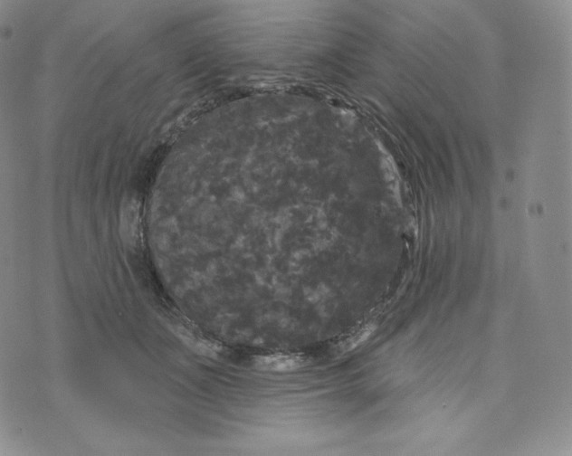 X0000074010511200609111627