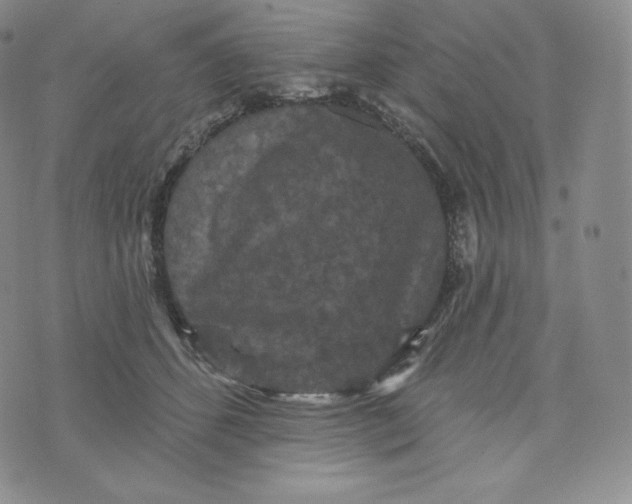 X0000074010512200609111627