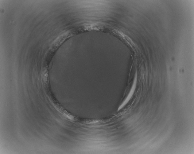 X0000074010513200609111627