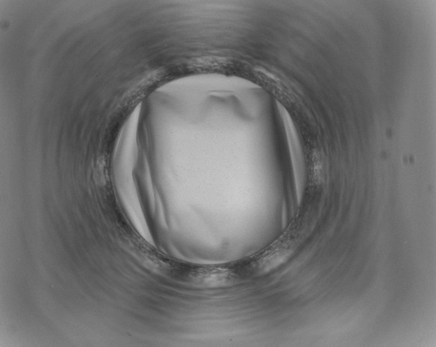 X0000074010514200609111627