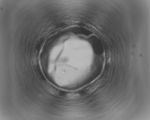 X0000074010515200609111627