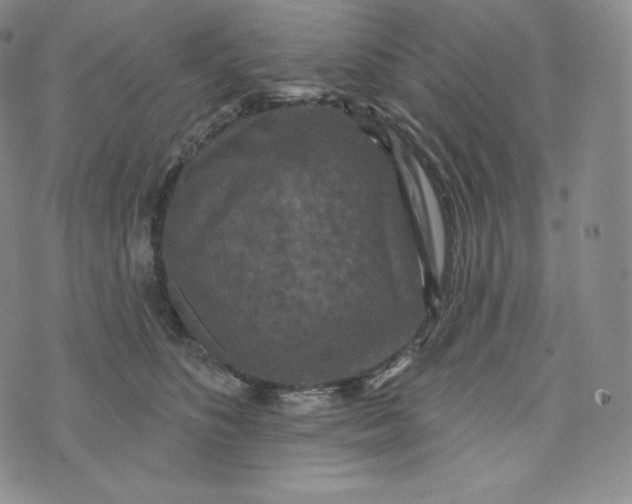 X0000074010516200609111627