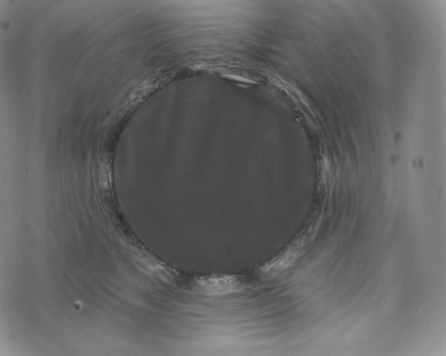 X0000074010517200609111627