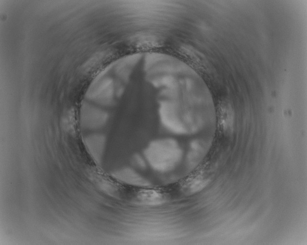 X0000074010519200609111627