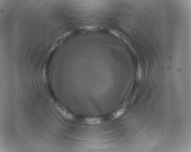 X0000074010520200609111627