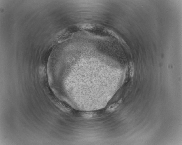 X0000074010521200609111627