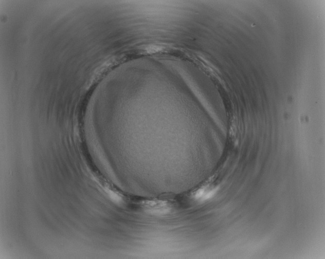 X0000074010524200609111627