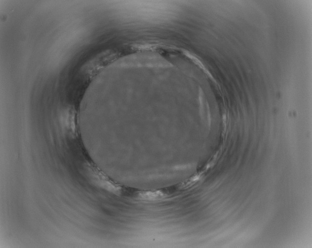 X0000074010525200609111627