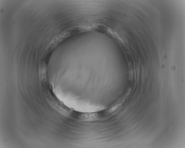 X0000074010526200609111627