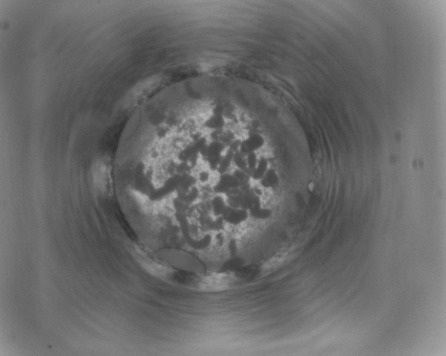 X0000074010527200609111627