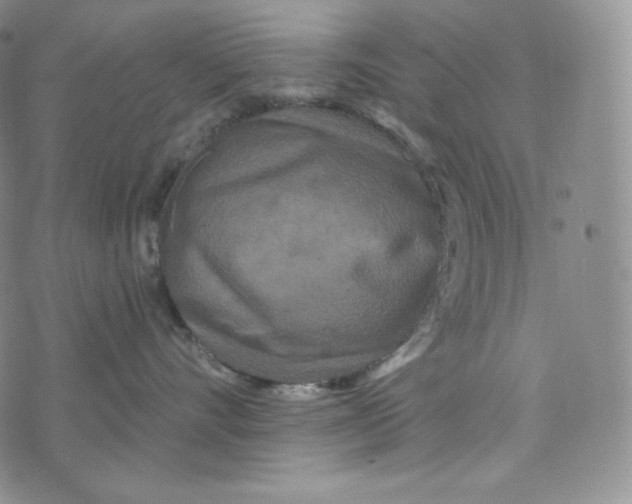 X0000074010528200609111627