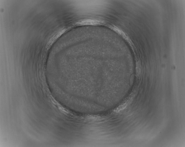 X0000074010529200609111626