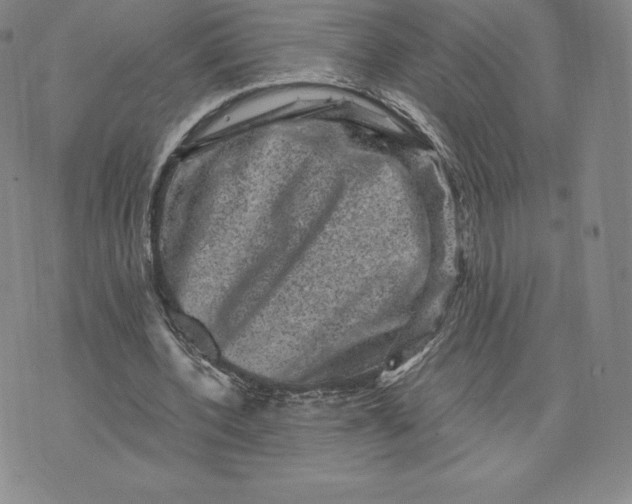 X0000074010532200609111626