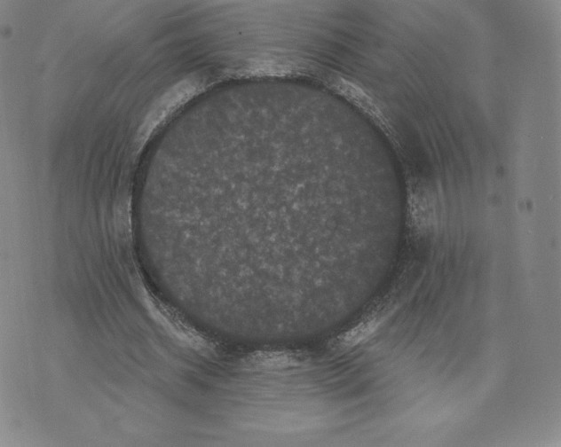 X0000074010534200609111626