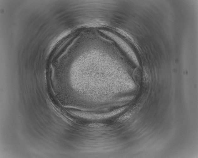 X0000074010535200609111626