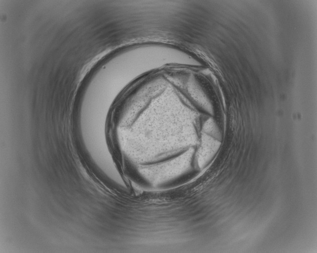 X0000074010536200609111626