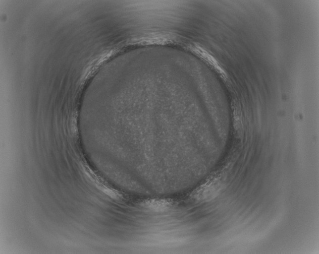 X0000074010537200609111626