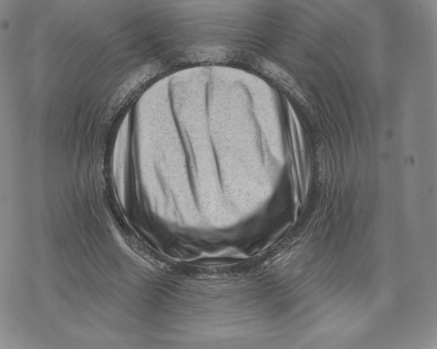 X0000074010538200609111626