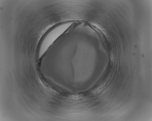 X0000074010540200609111626