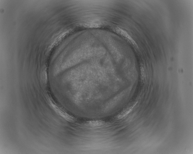 X0000074010541200609111626