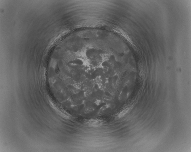 X0000074010542200609111626