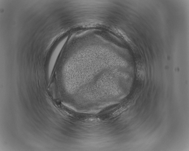 X0000074010543200609111626